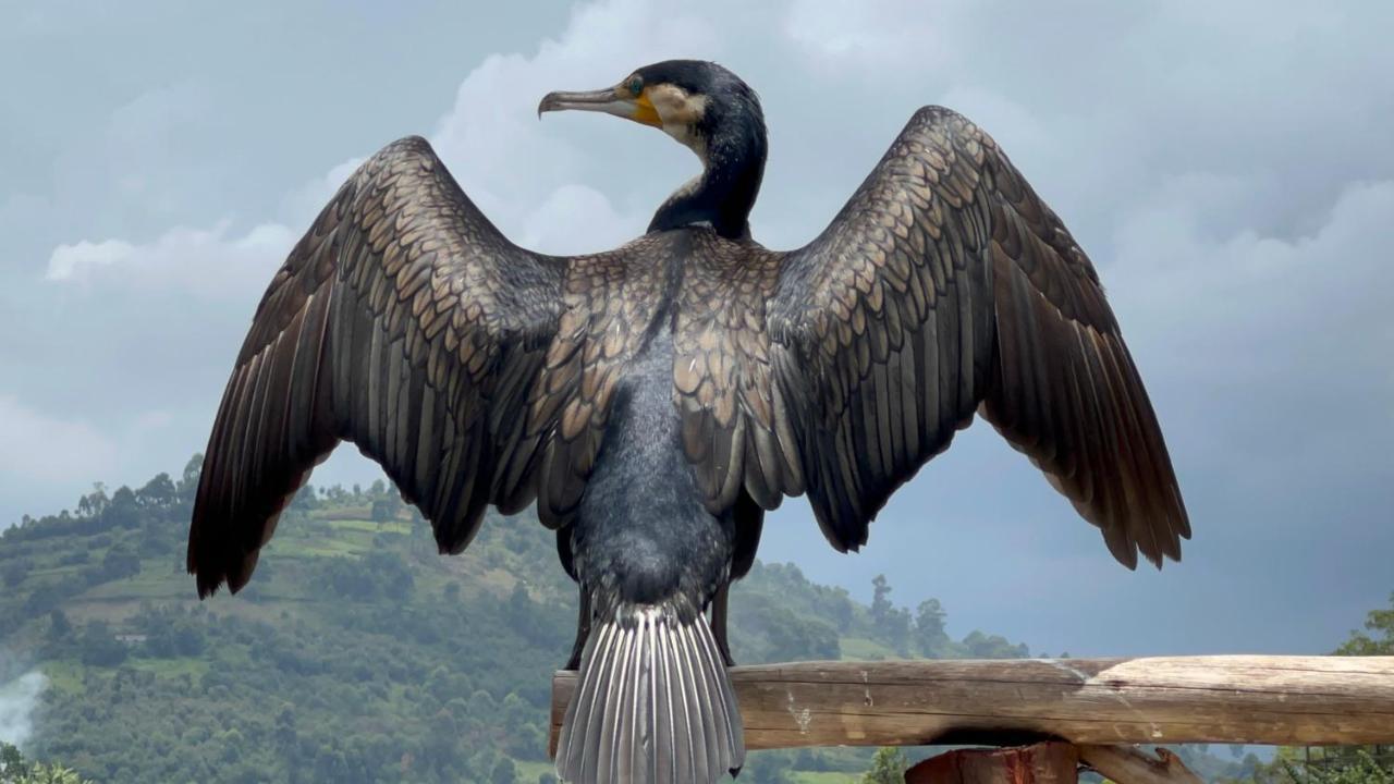 Lake Bunyonyi Rock Resort Kabale Екстер'єр фото