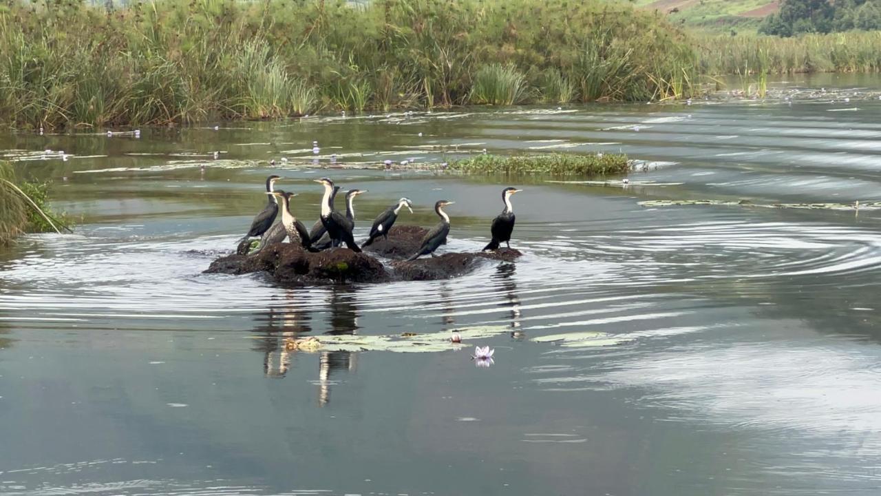 Lake Bunyonyi Rock Resort Kabale Екстер'єр фото